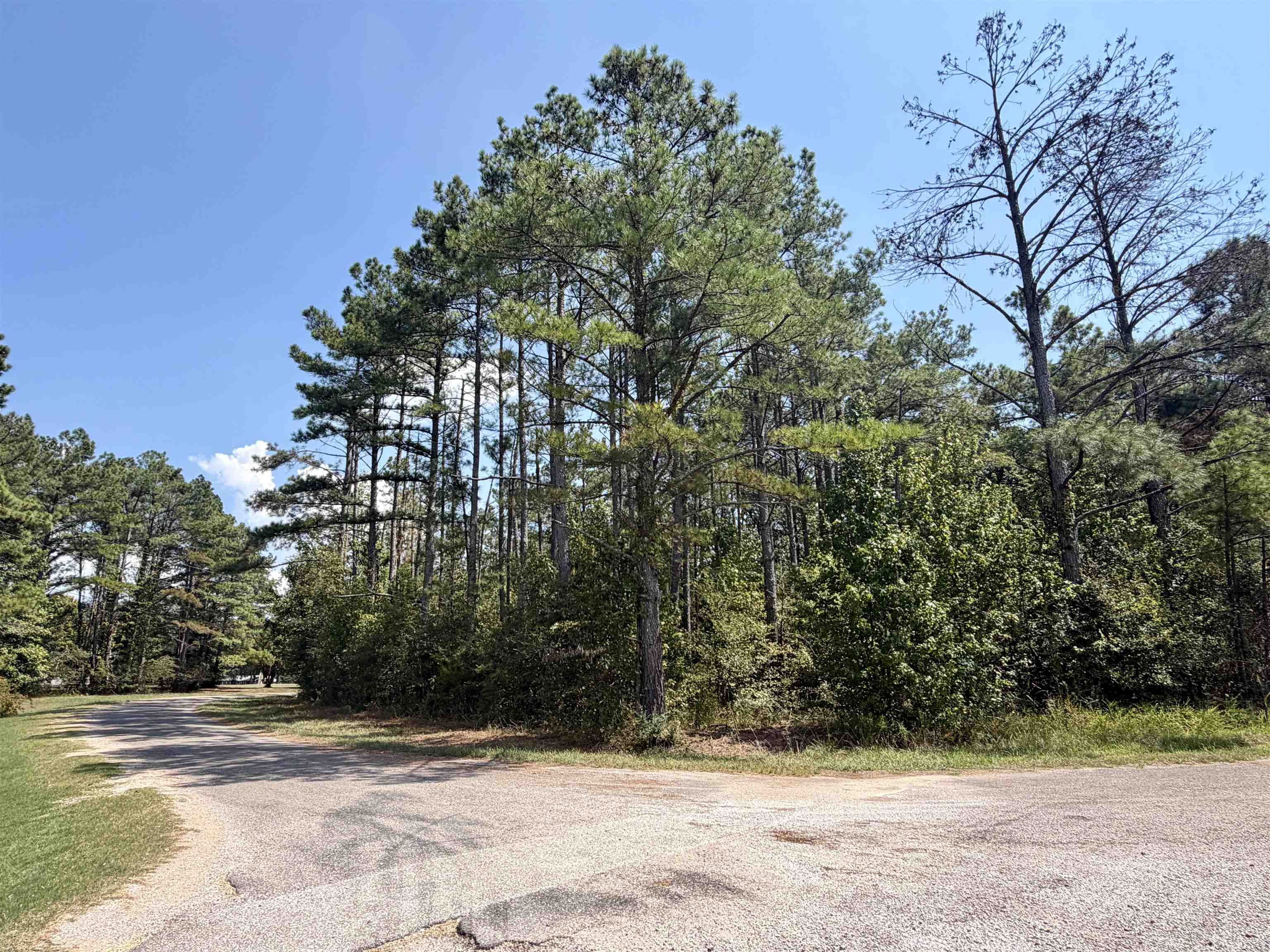 0 O Sage Dr Property Photo 1