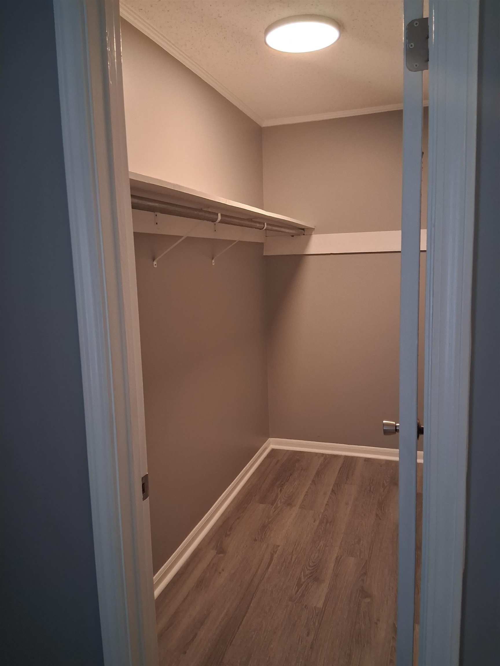 2756 Merle St Property Photo 5