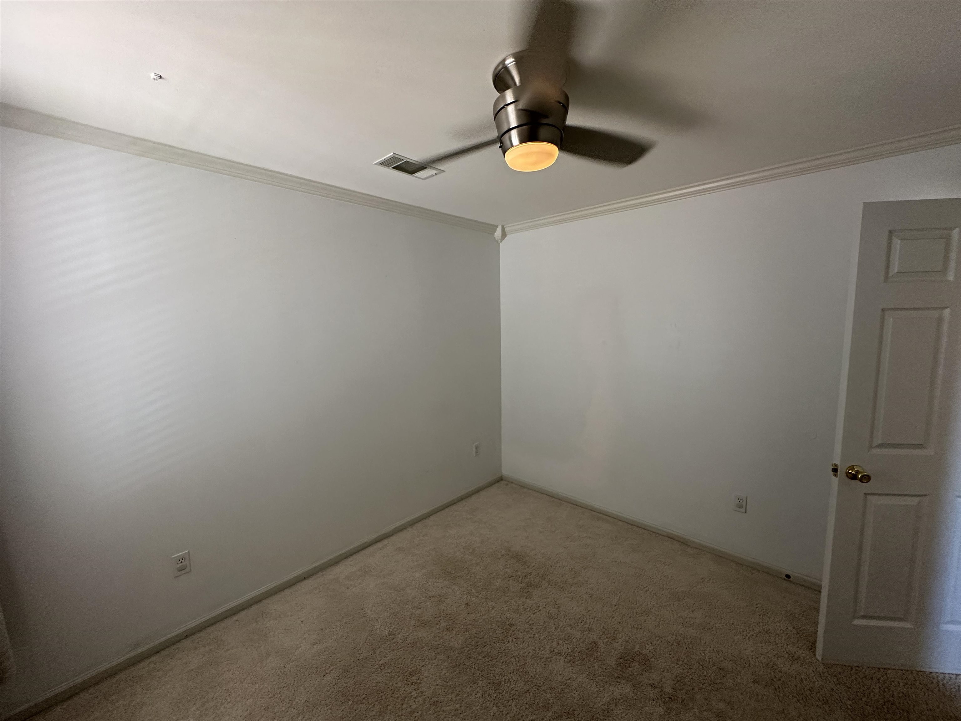 1054 E Island Dr Property Photo 12