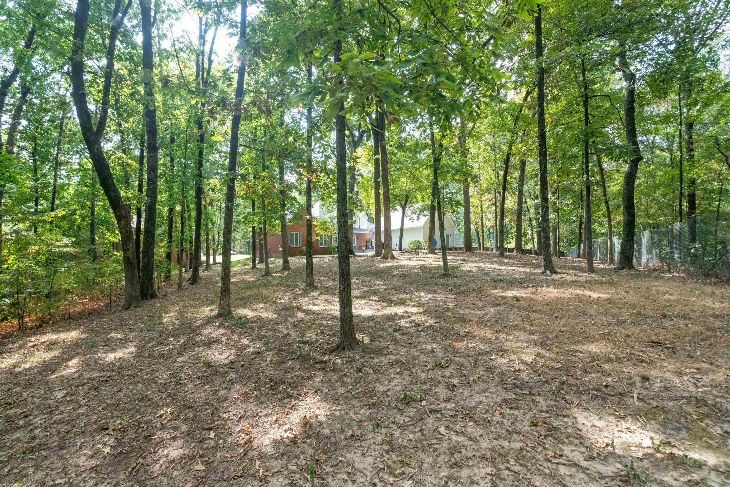 7816 Wood Glen Cv Property Photo 5