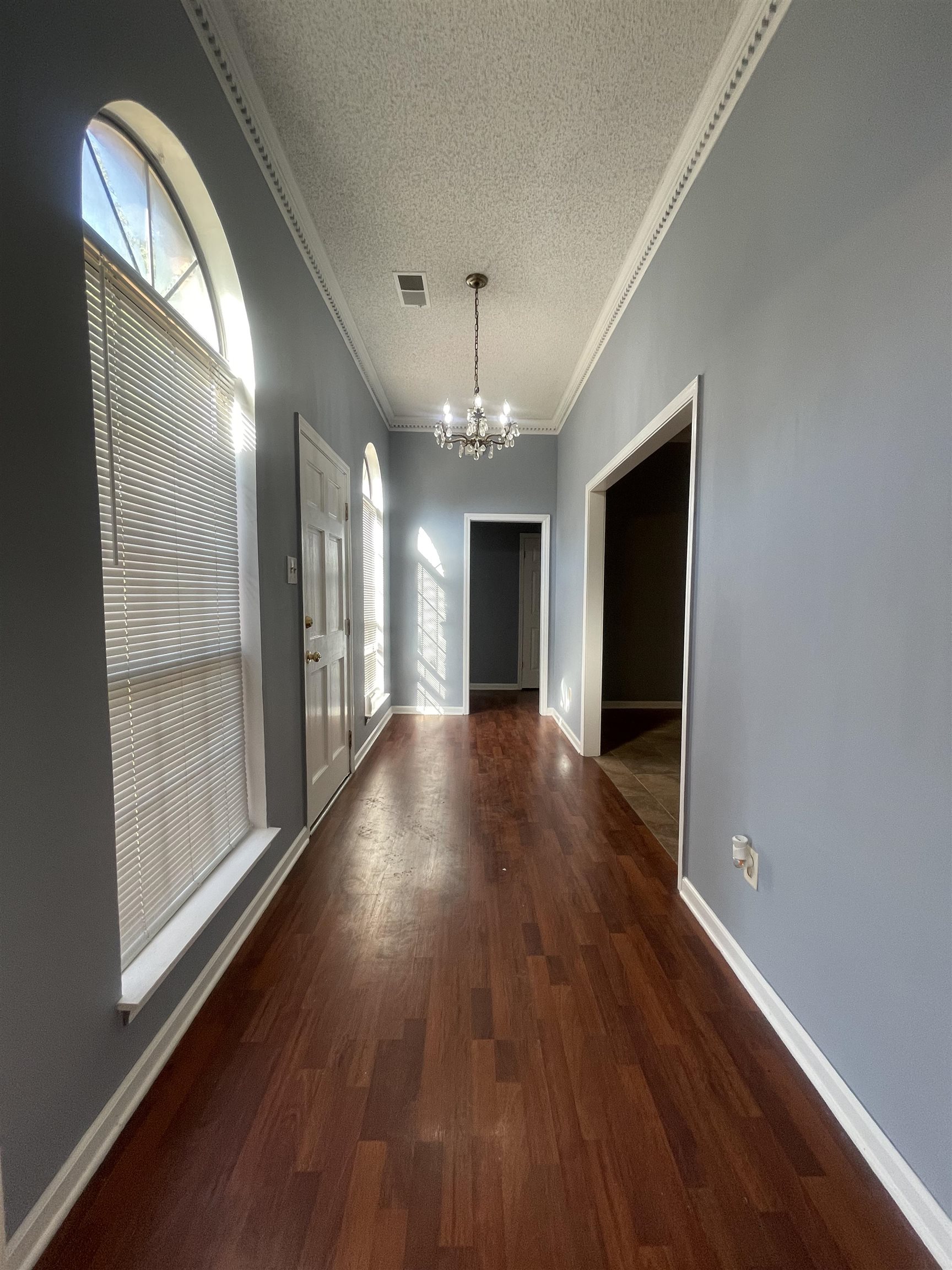 2050 Mt Badon Ln Property Photo 3