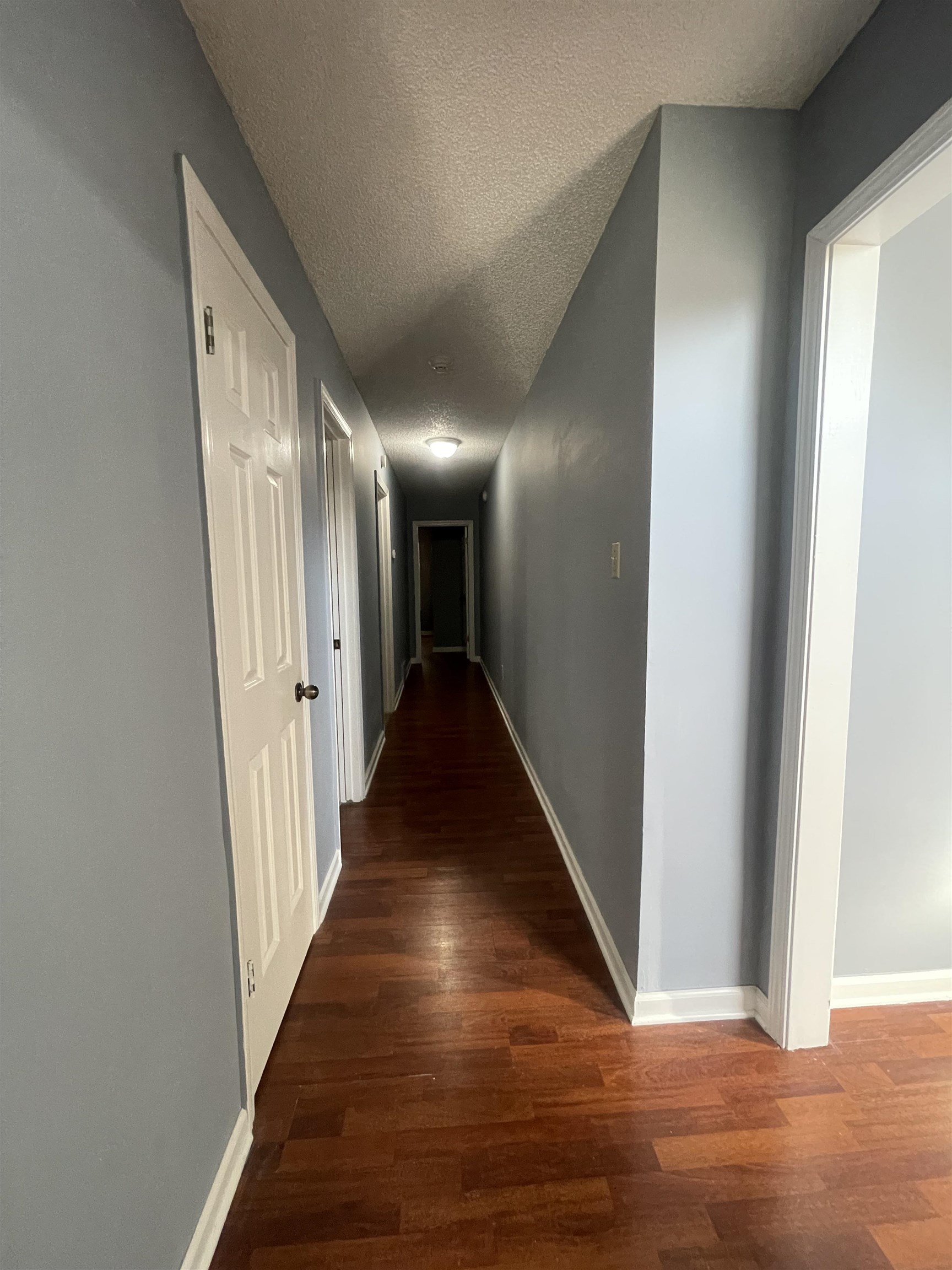2050 Mt Badon Ln Property Photo 19