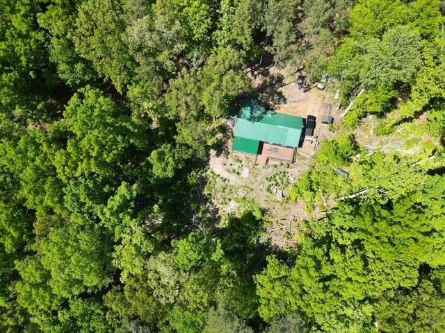 105 Ac. Big Rock Trl Property Photo 4