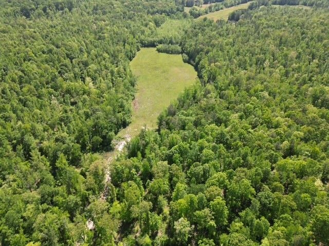 105 Ac. Big Rock Trl Property Photo 11