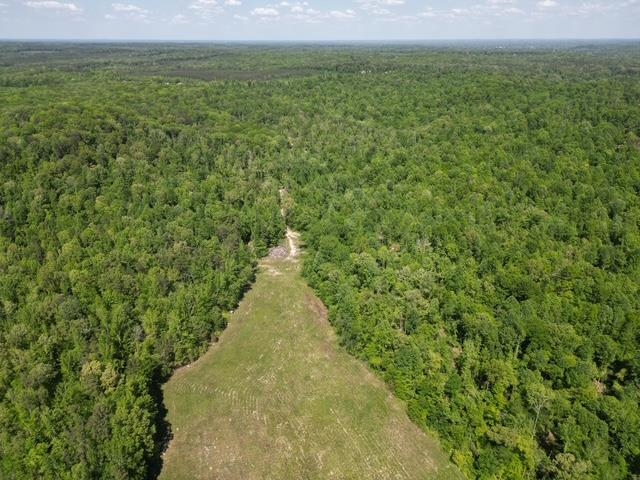 105 Ac. Big Rock Trl Property Photo 12