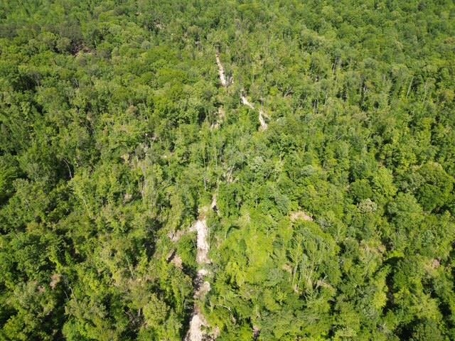 105 Ac. Big Rock Trl Property Photo 13