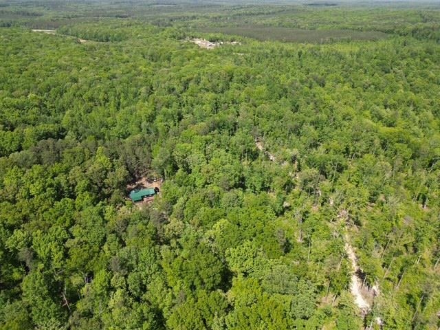 105 Ac. Big Rock Trl Property Photo 14