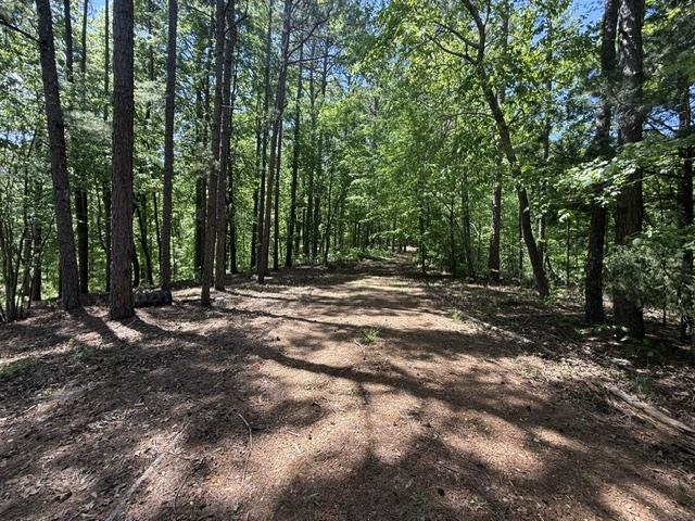 105 Ac. Big Rock Trl Property Photo 20