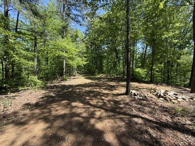 105 Ac. Big Rock Trl Property Photo 21