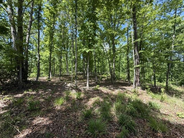 105 Ac. Big Rock Trl Property Photo 22