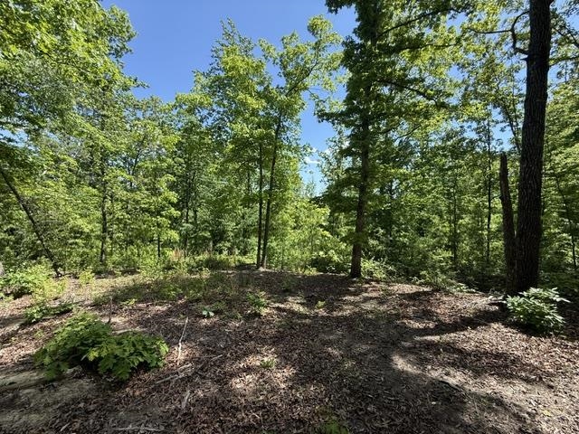 105 Ac. Big Rock Trl Property Photo 23