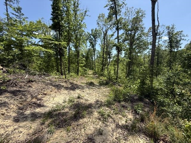 105 Ac. Big Rock Trl Property Photo 24