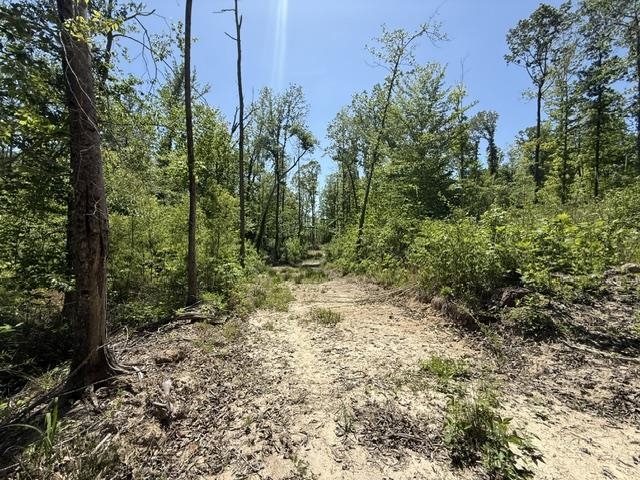 105 Ac. Big Rock Trl Property Photo 25