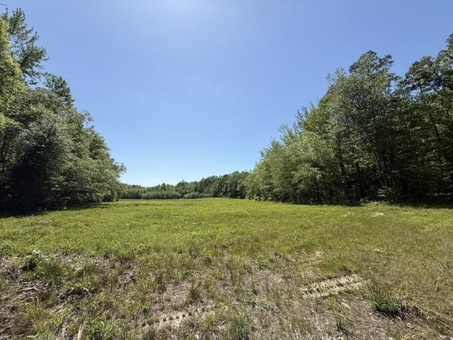 105 Ac. Big Rock Trl Property Photo 26