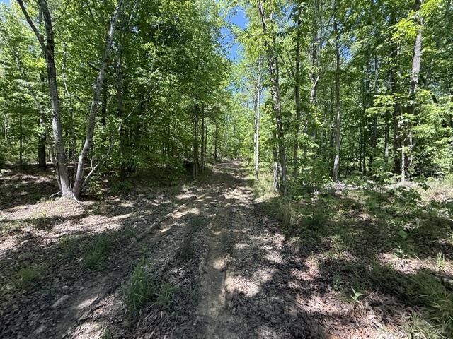 105 Ac. Big Rock Trl Property Photo 27