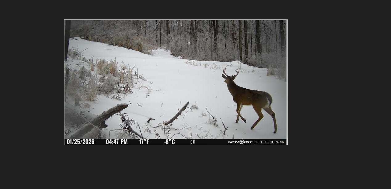 105 Ac. Big Rock Trl Property Photo 28