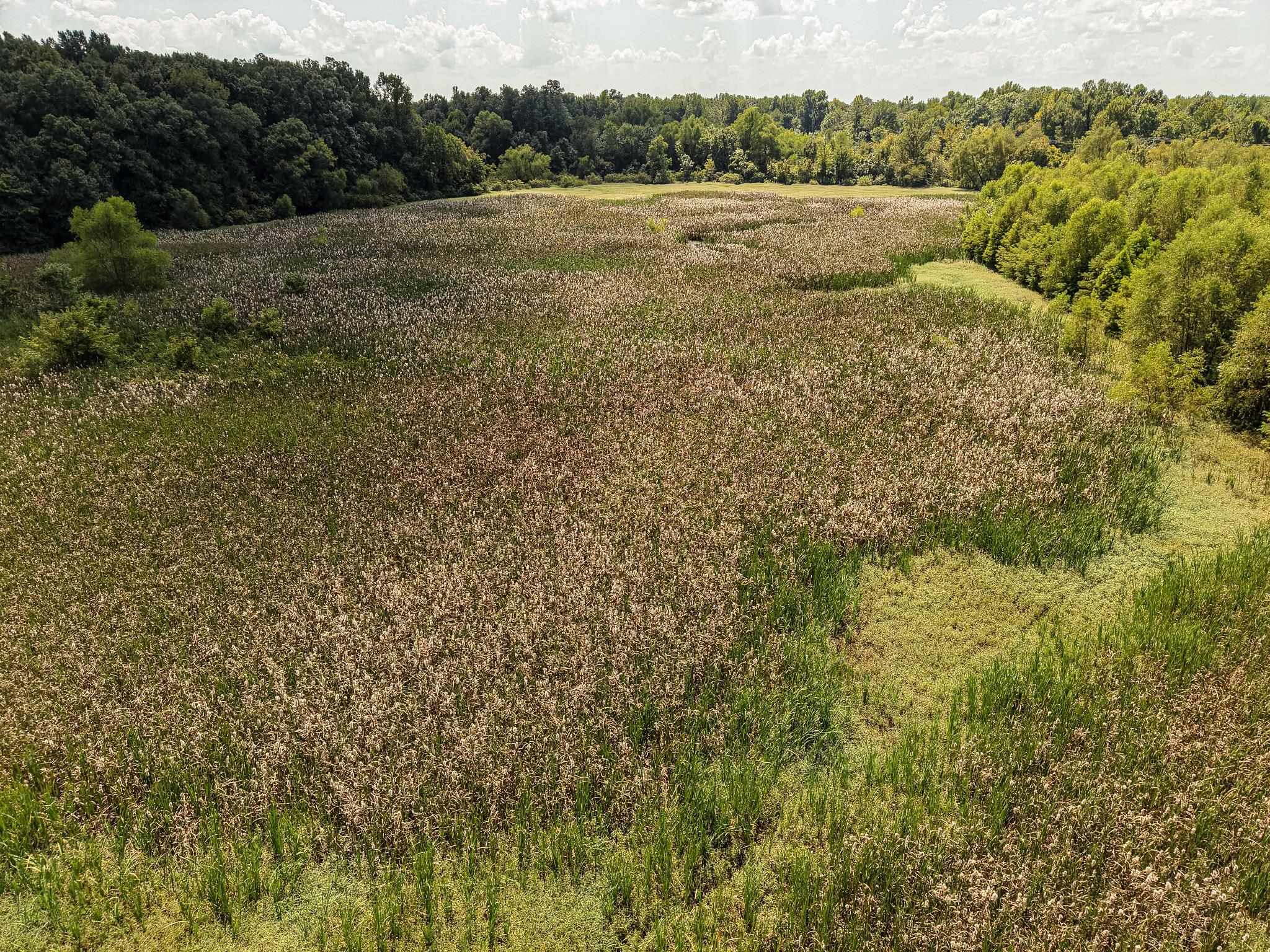 00 Galloway Levee Rd Property Photo 1