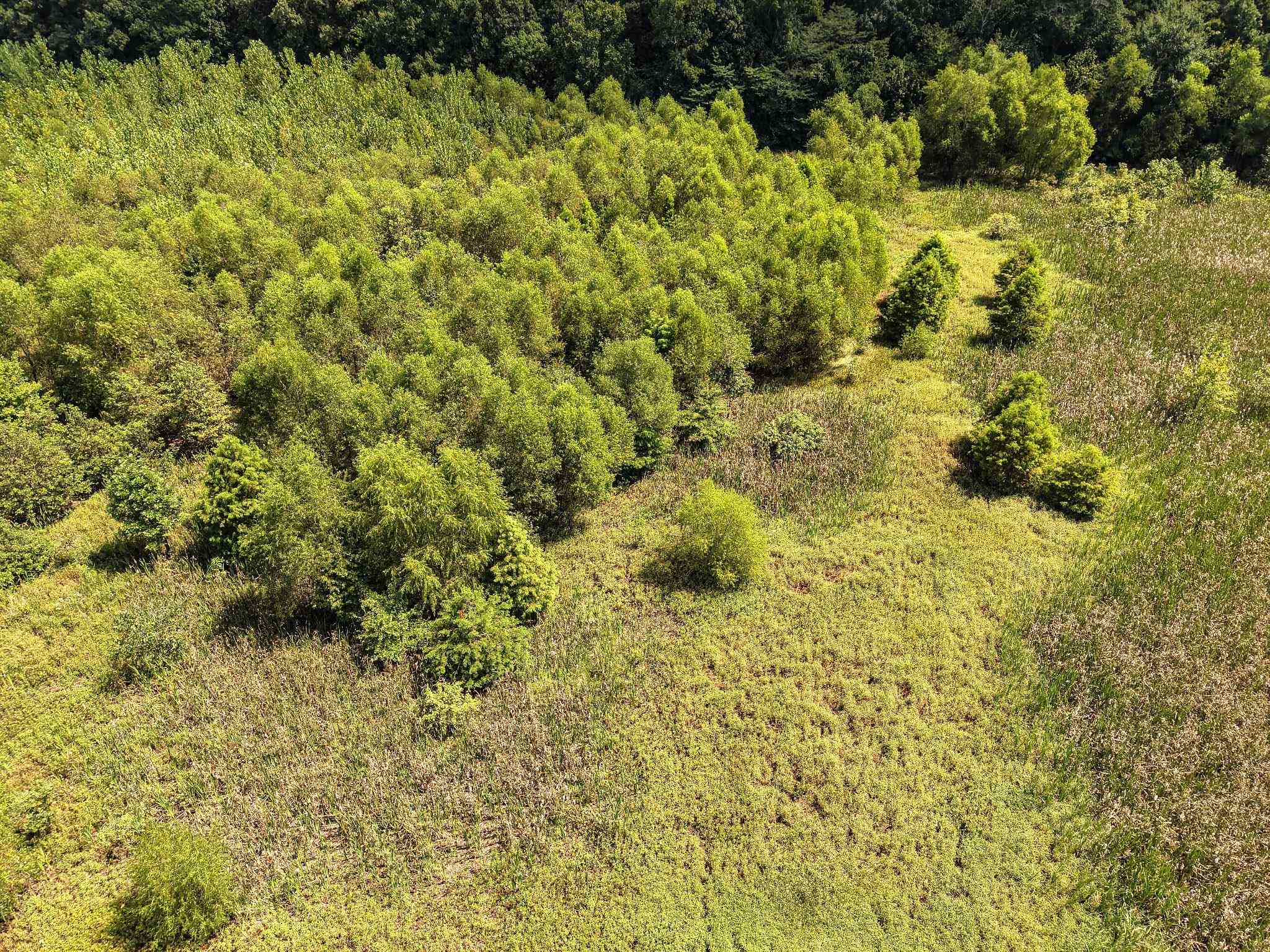 00 Galloway Levee Rd Property Photo 8