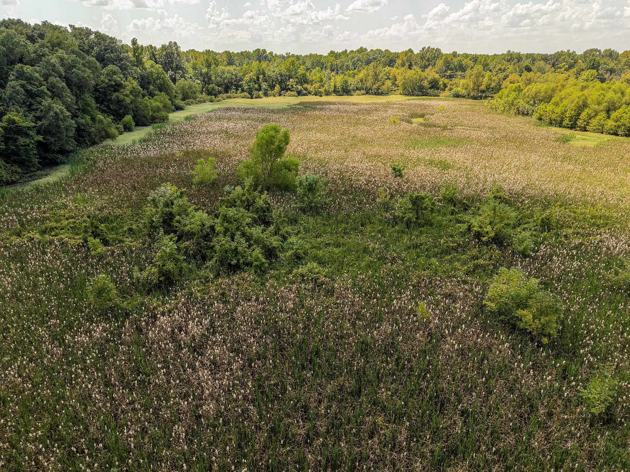 00 Galloway Levee Rd Property Photo 9