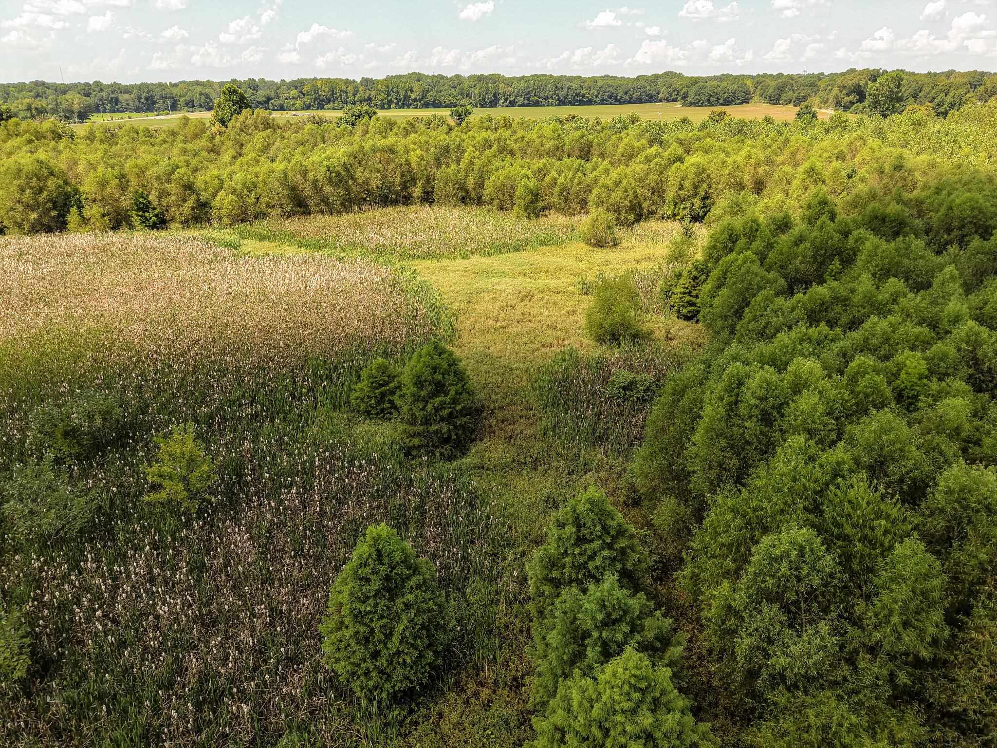 00 Galloway Levee Rd Property Photo 10