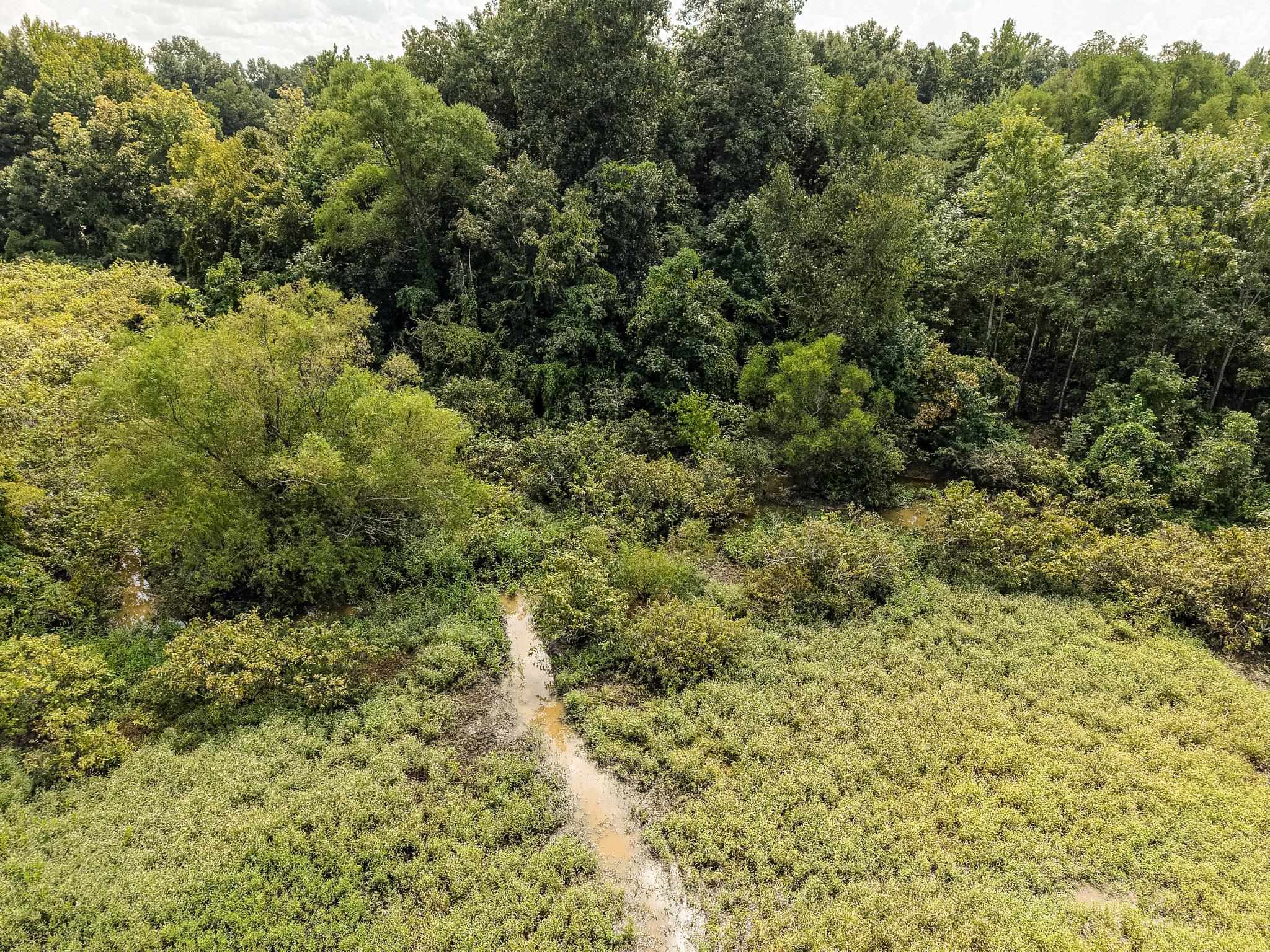 00 Galloway Levee Rd Property Photo 11