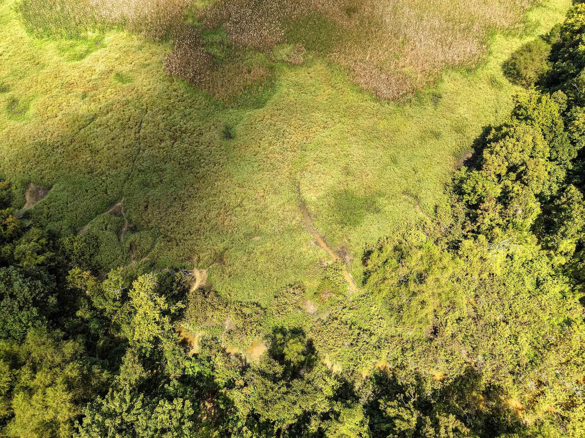 00 Galloway Levee Rd Property Photo 12