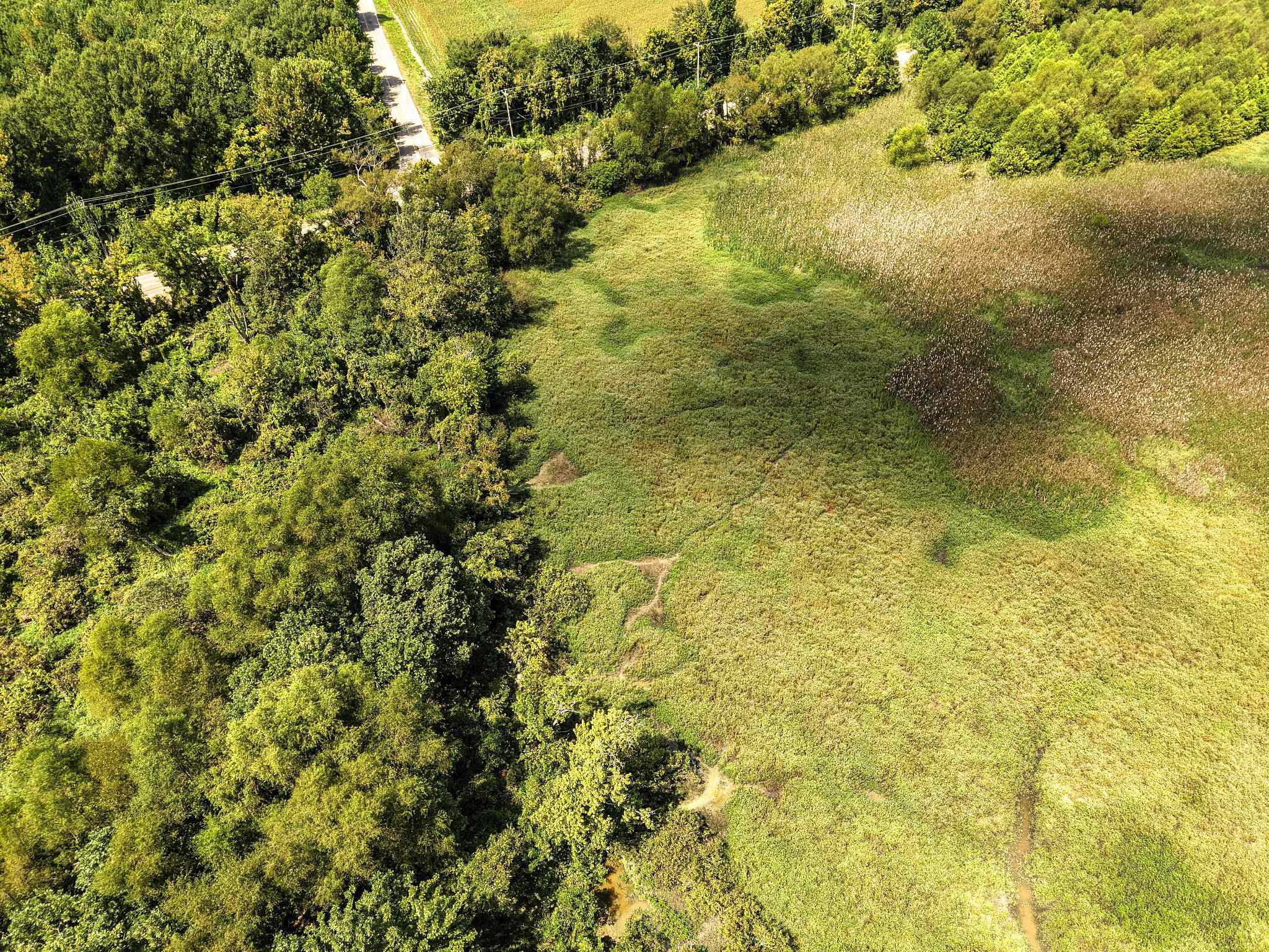 00 Galloway Levee Rd Property Photo 13