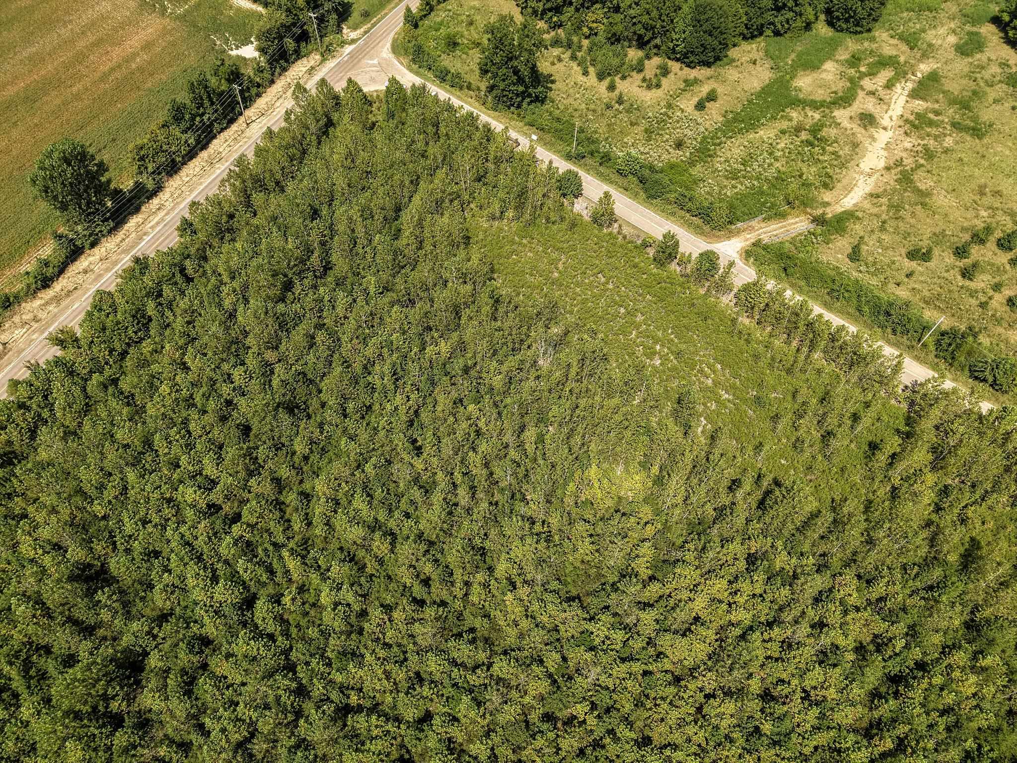 00 Galloway Levee Rd Property Photo 20