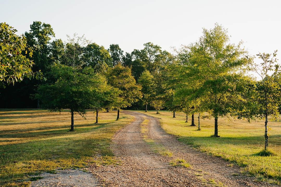 5245 Lake Hardeman Rd Property Photo 13