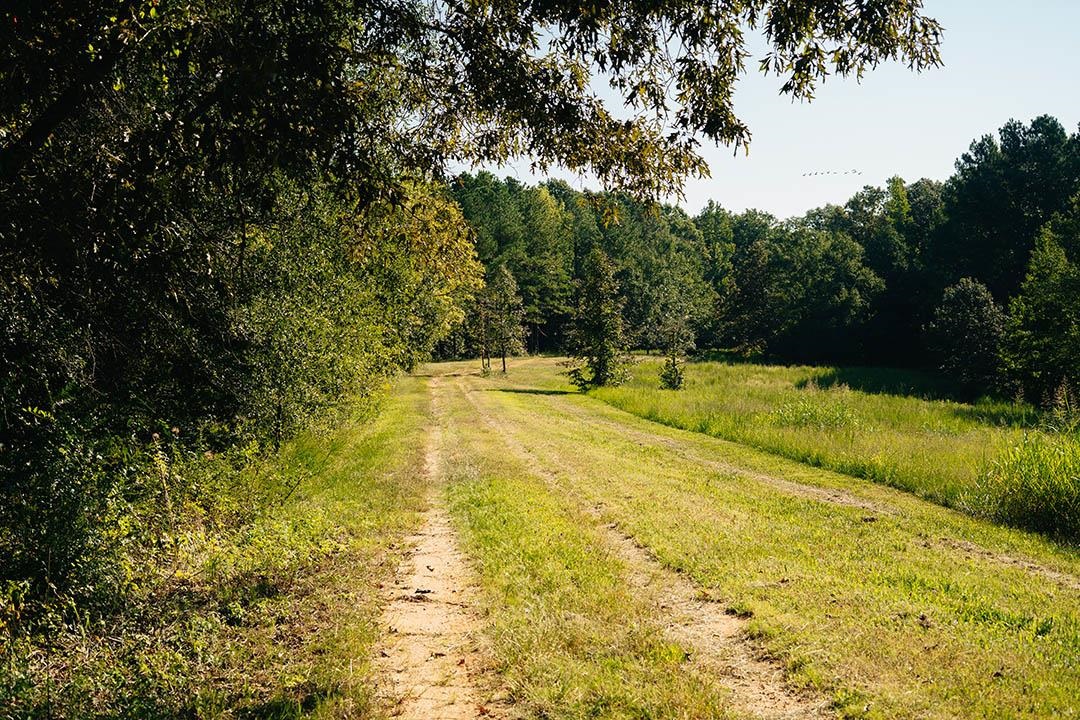 5245 Lake Hardeman Rd Property Photo 26