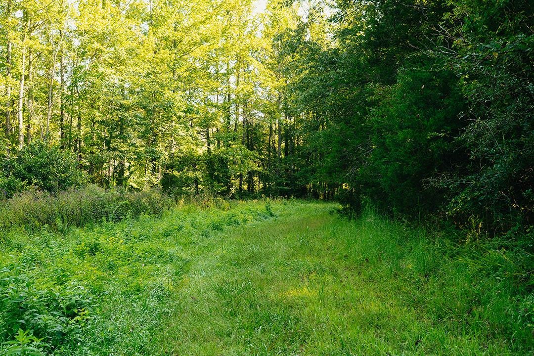5245 Lake Hardeman Rd Property Photo 28