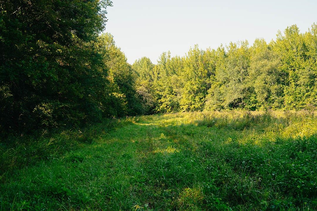 5245 Lake Hardeman Rd Property Photo 29