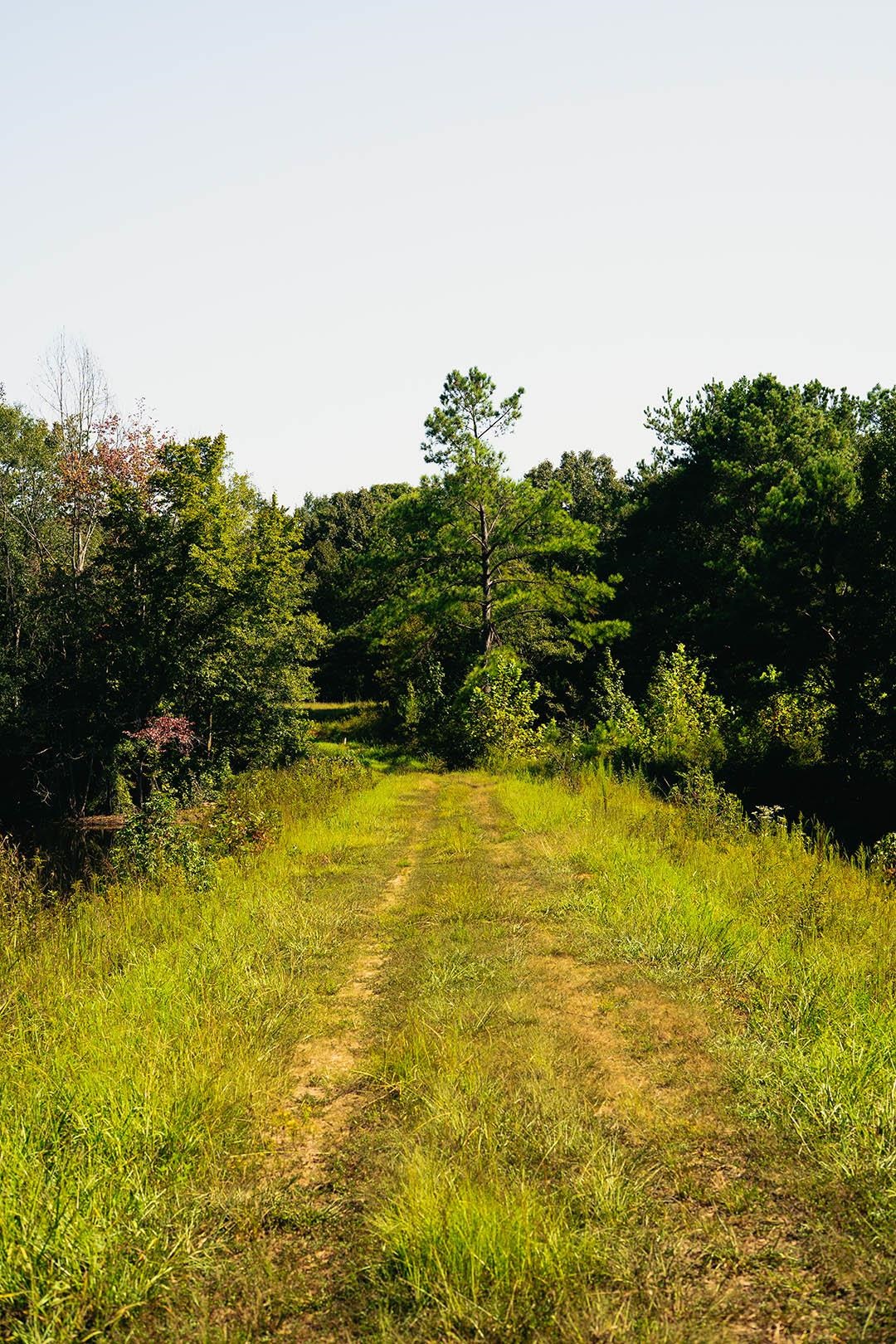 5245 Lake Hardeman Rd Property Photo 30