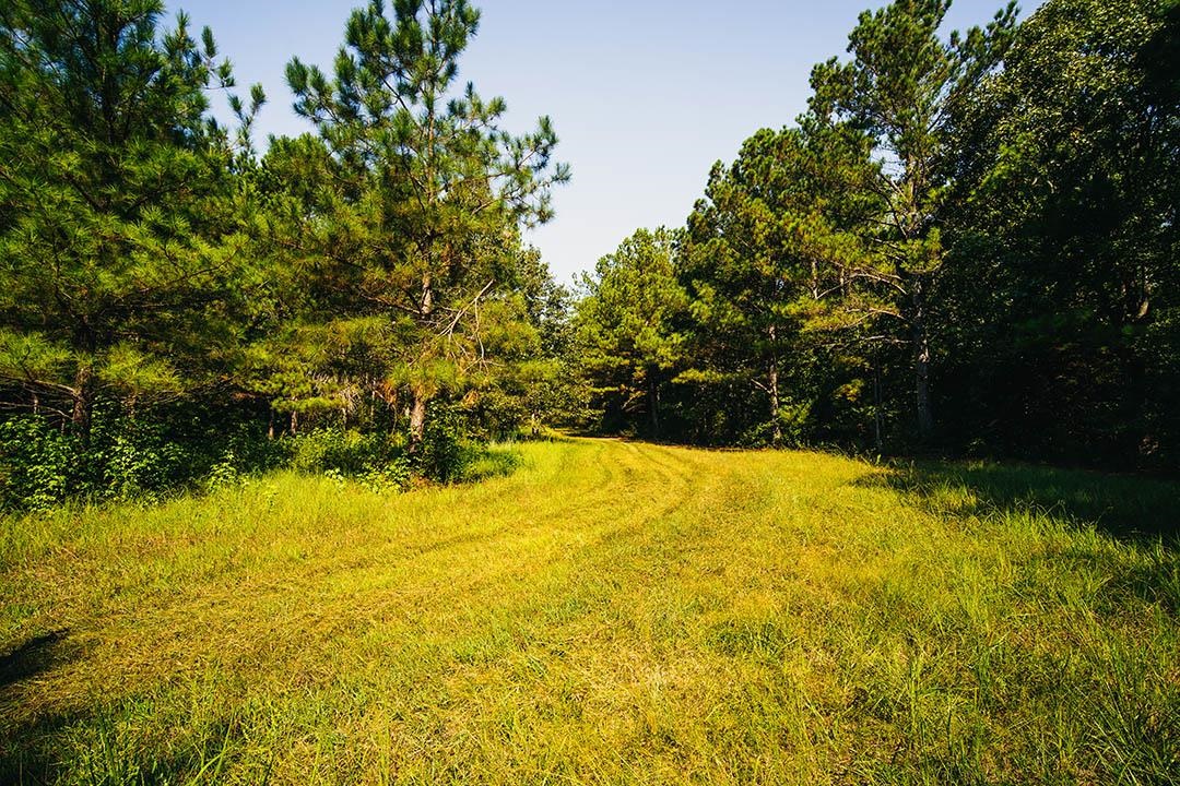 5245 Lake Hardeman Rd Property Photo 38