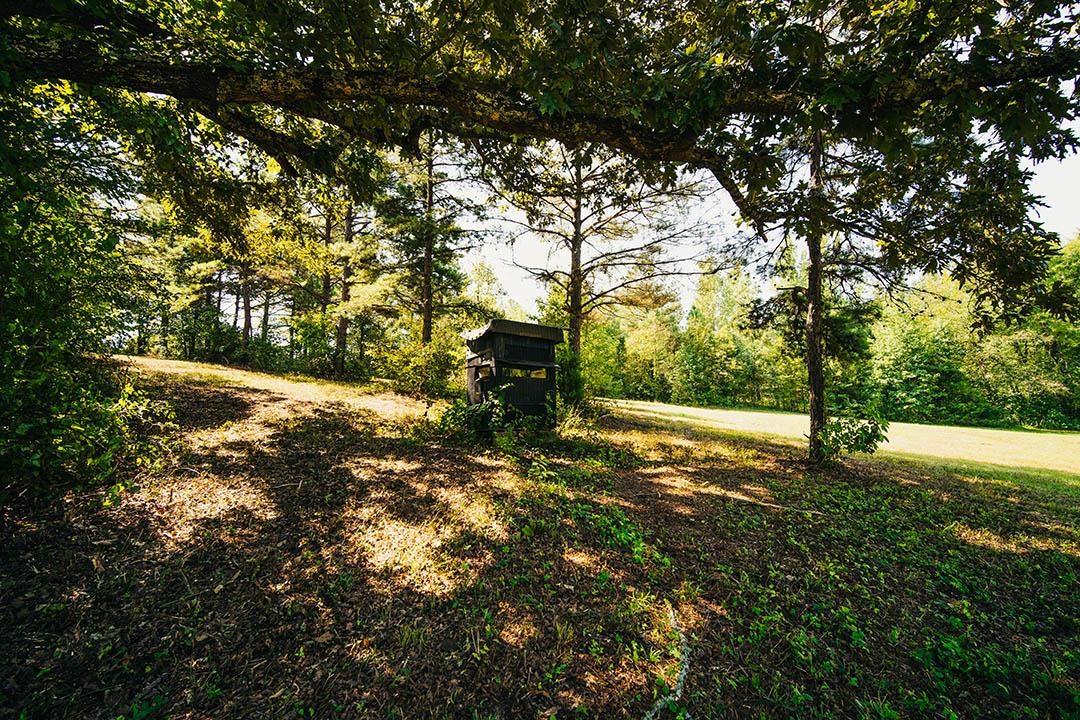 5245 Lake Hardeman Rd Property Photo 39