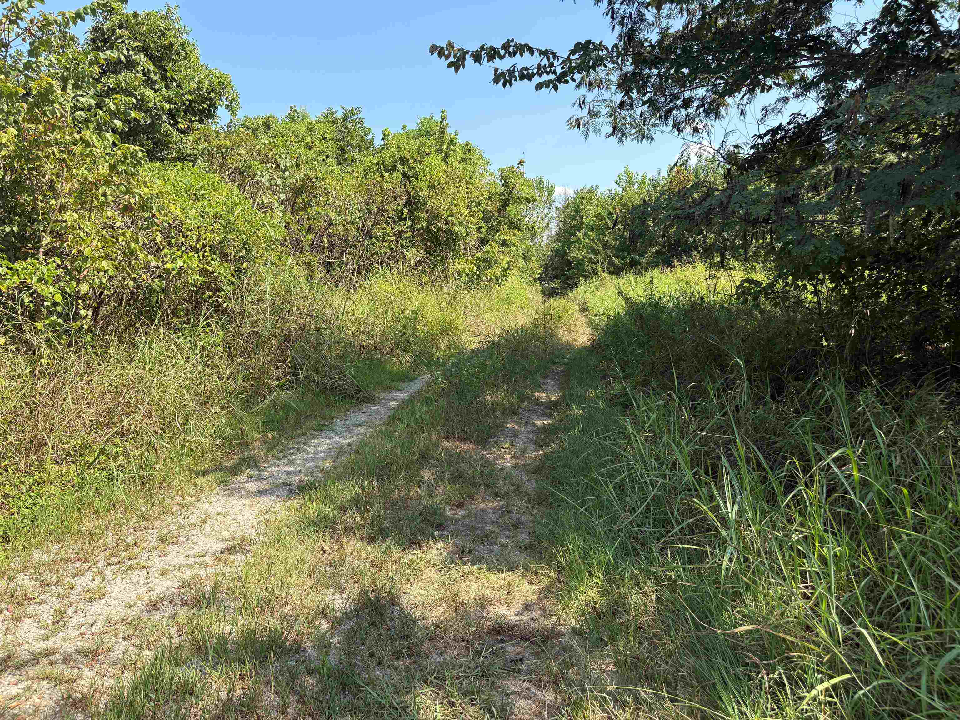 2911 Fite Rd Property Photo 6