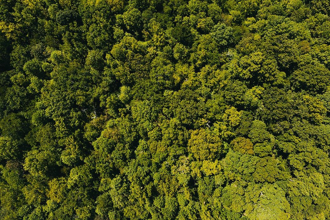 0 Rocky Springs Rd Property Photo 14