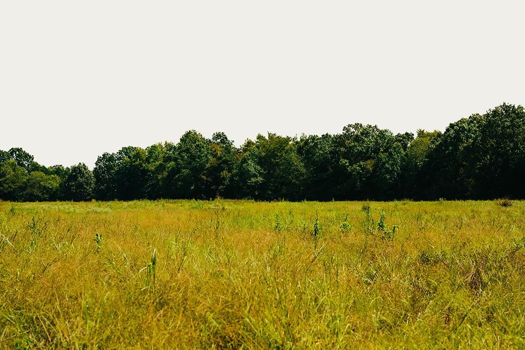 0 Rocky Springs Rd Property Photo 18