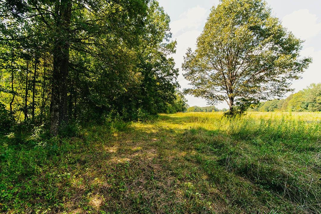 0 Rocky Springs Rd Property Photo 24