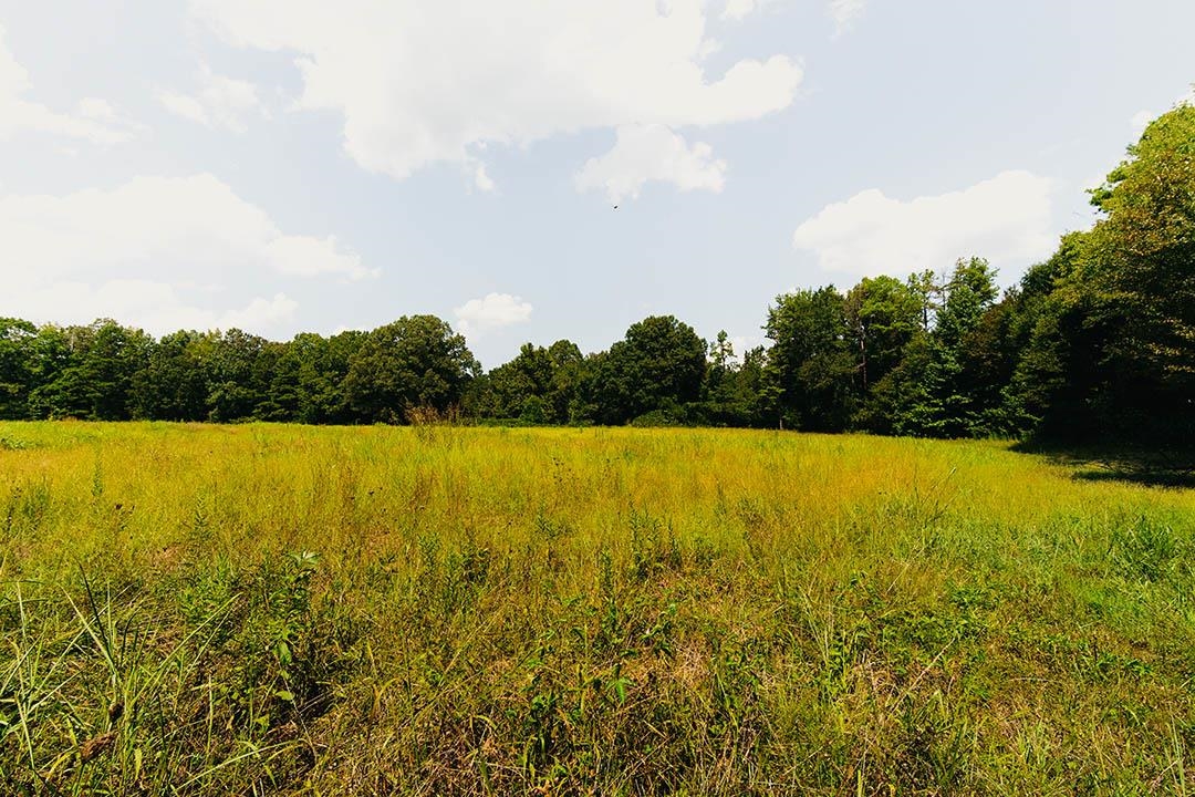 0 Rocky Springs Rd Property Photo 25