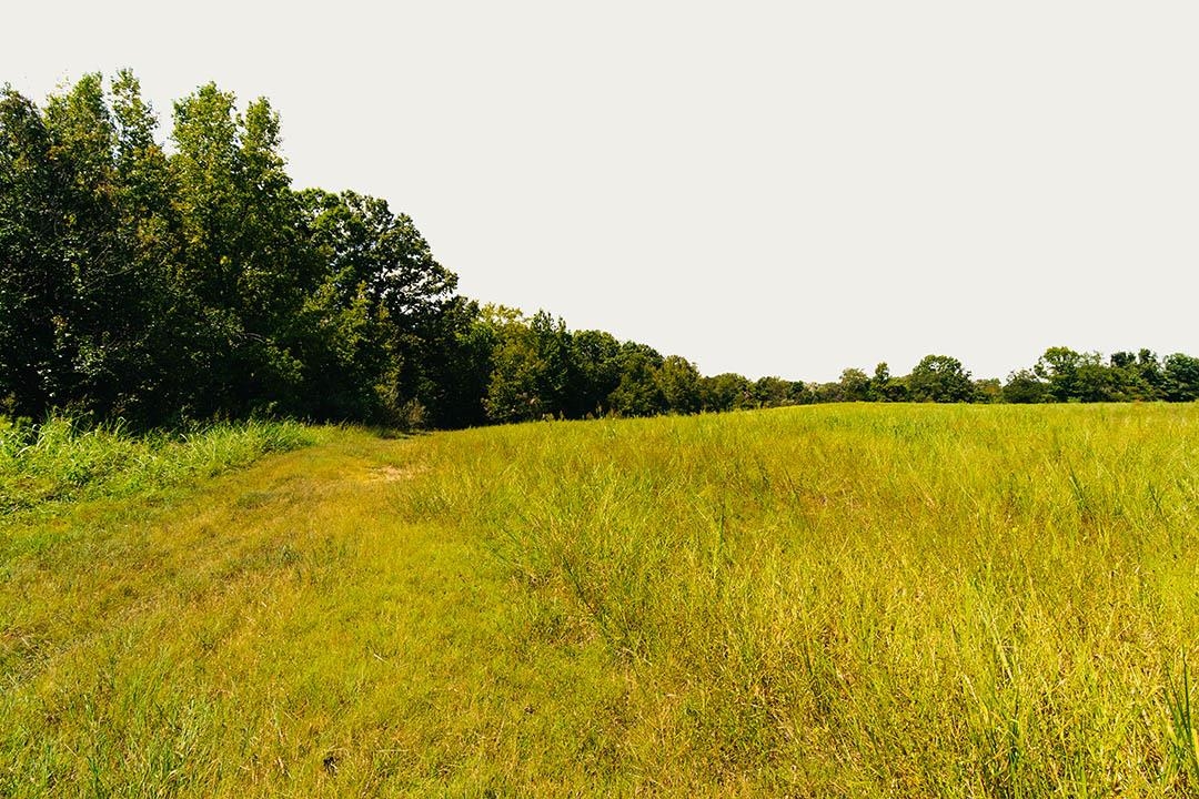 0 Rocky Springs Rd Property Photo 29