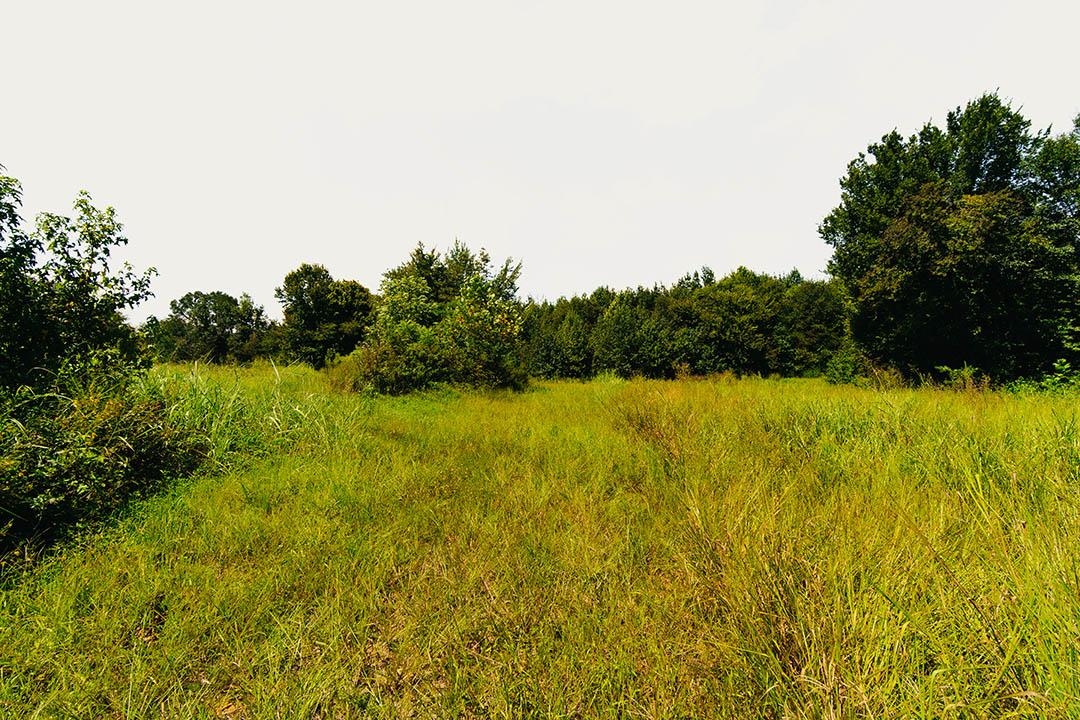 0 Rocky Springs Rd Property Photo 31