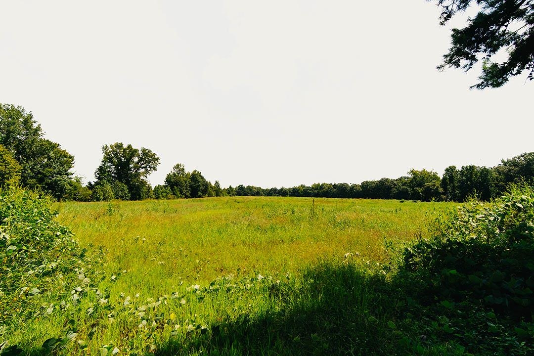 0 Rocky Springs Rd Property Photo 33