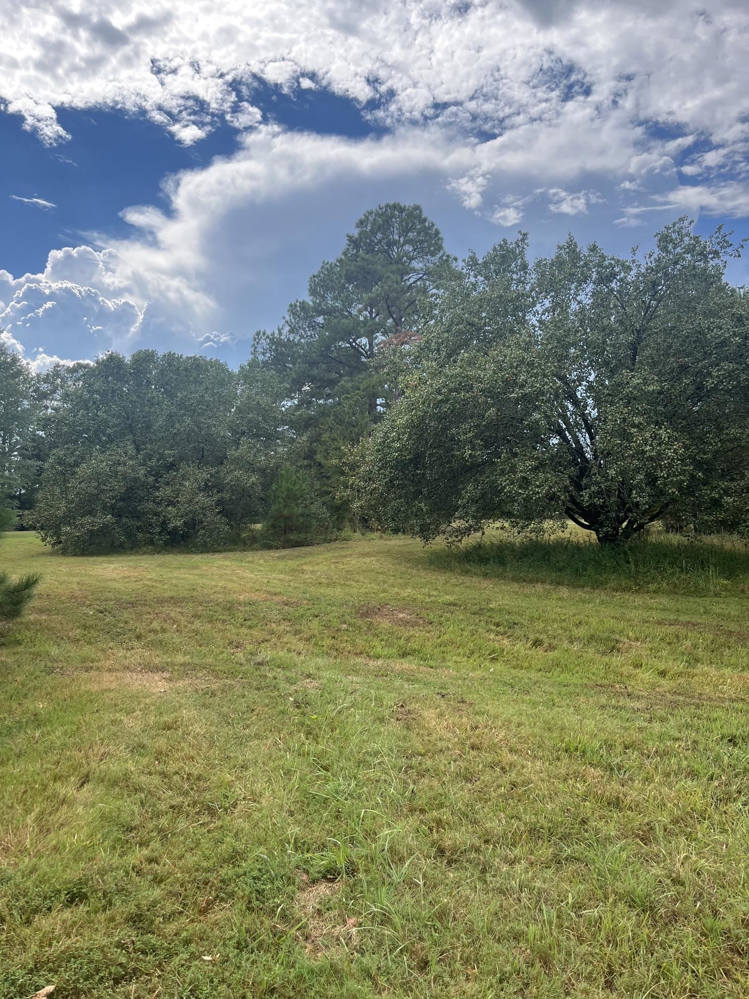 855 Sycamore Rd Property Photo 2
