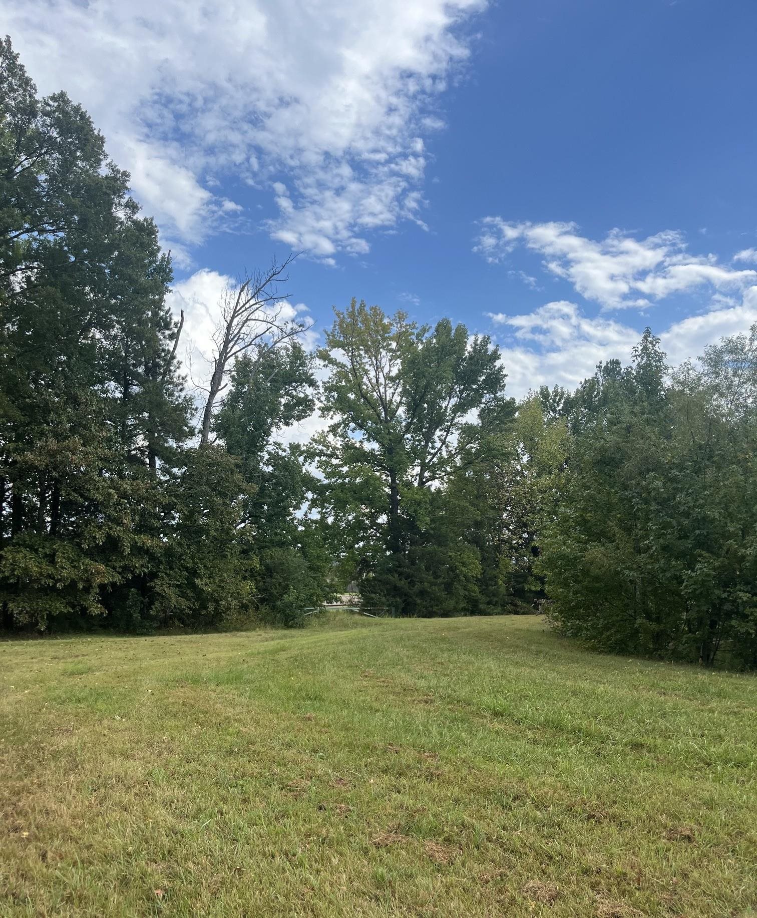 855 Sycamore Rd Property Photo 4