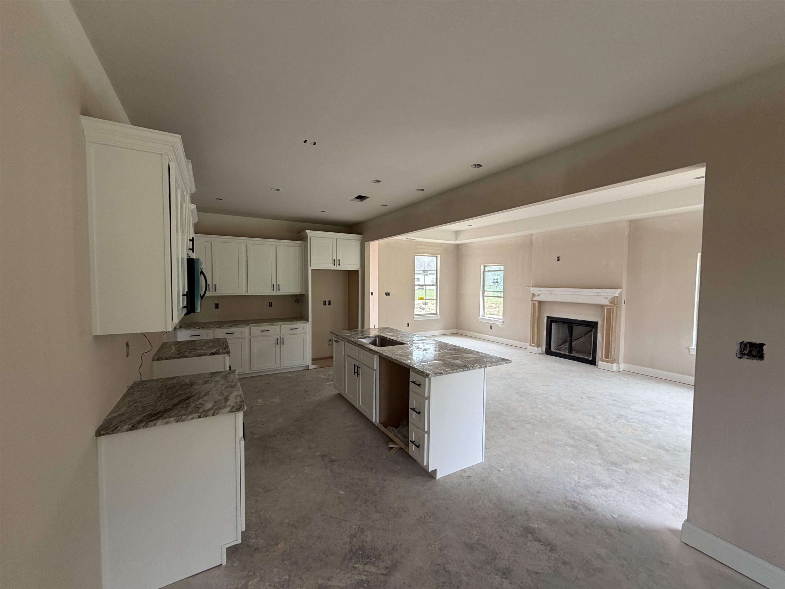 9670 Ryder Springs Dr Property Photo 3
