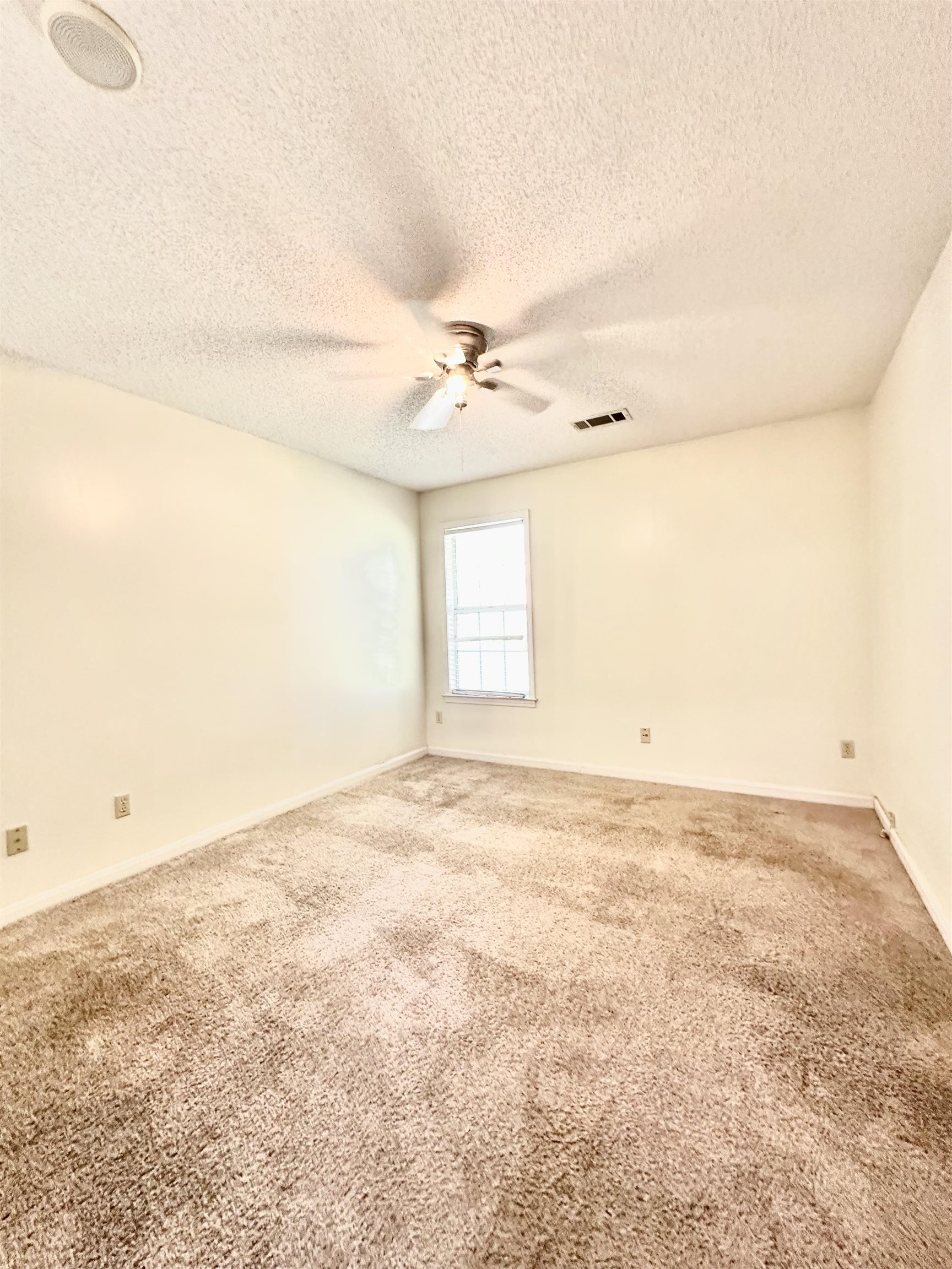 6424 Belmont Dr Property Photo 28