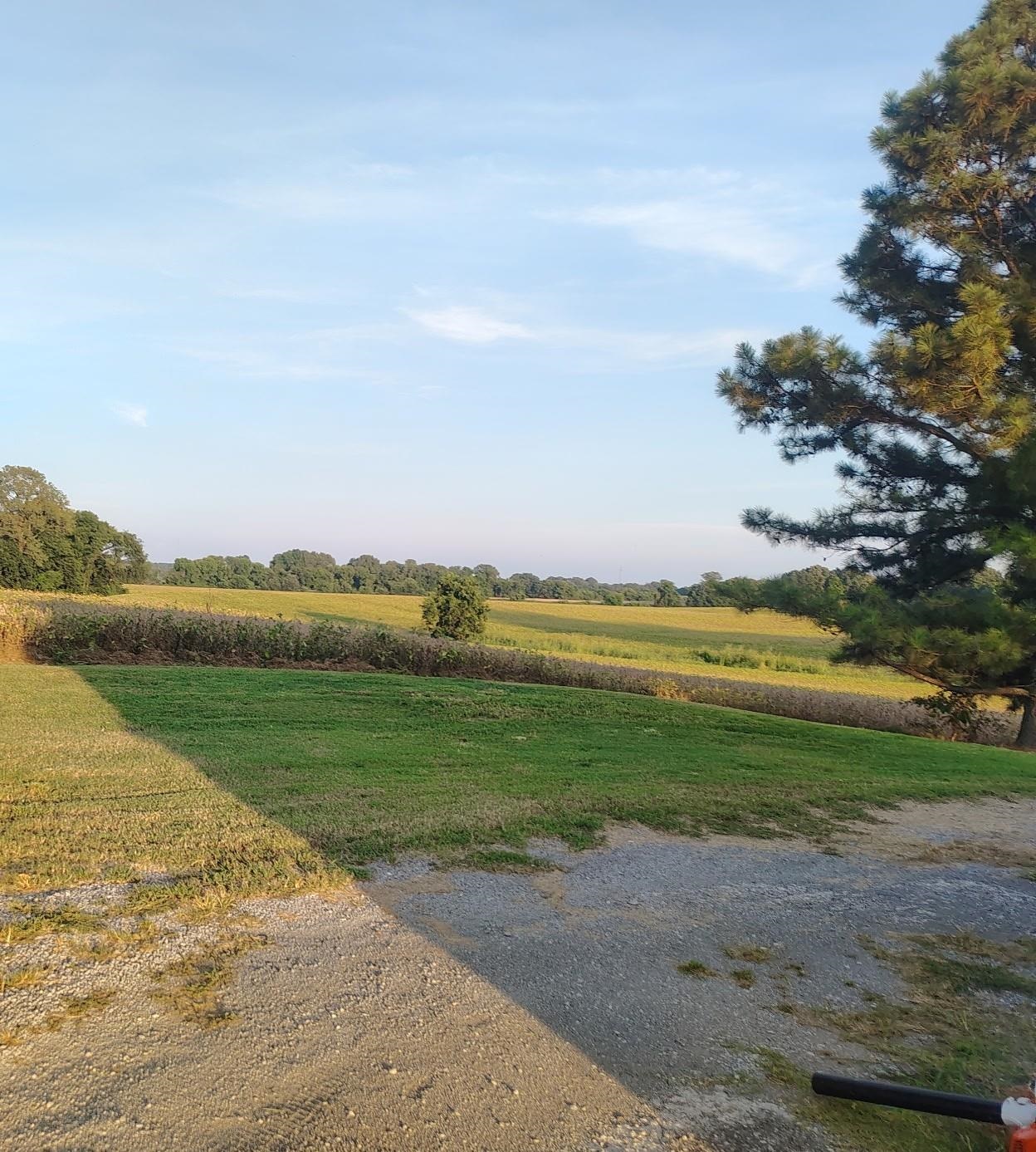 556 Hartsfield Rd Property Photo 20