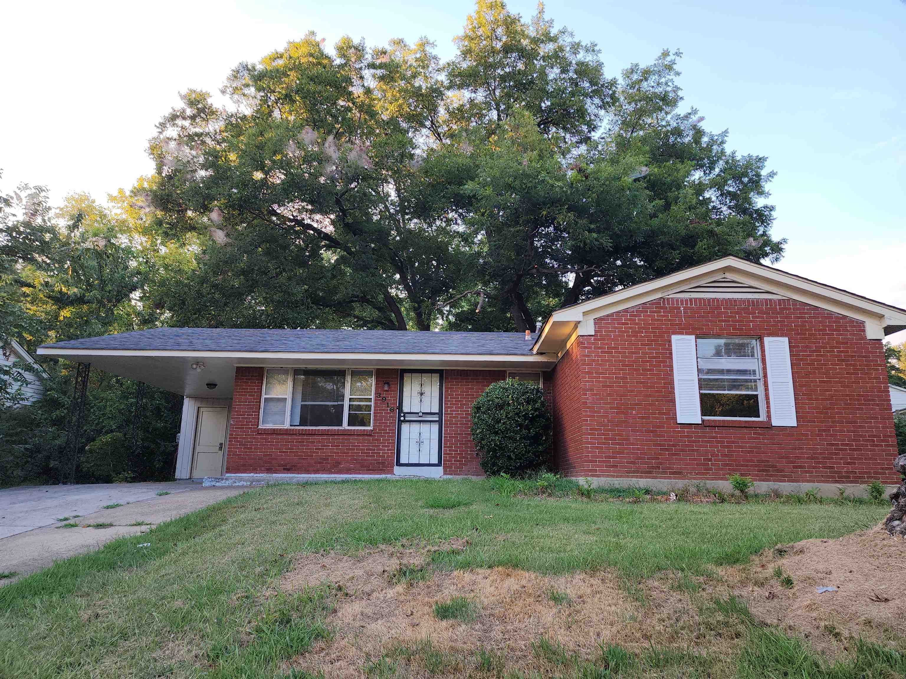 3916 Tessland Dr Property Photo 1