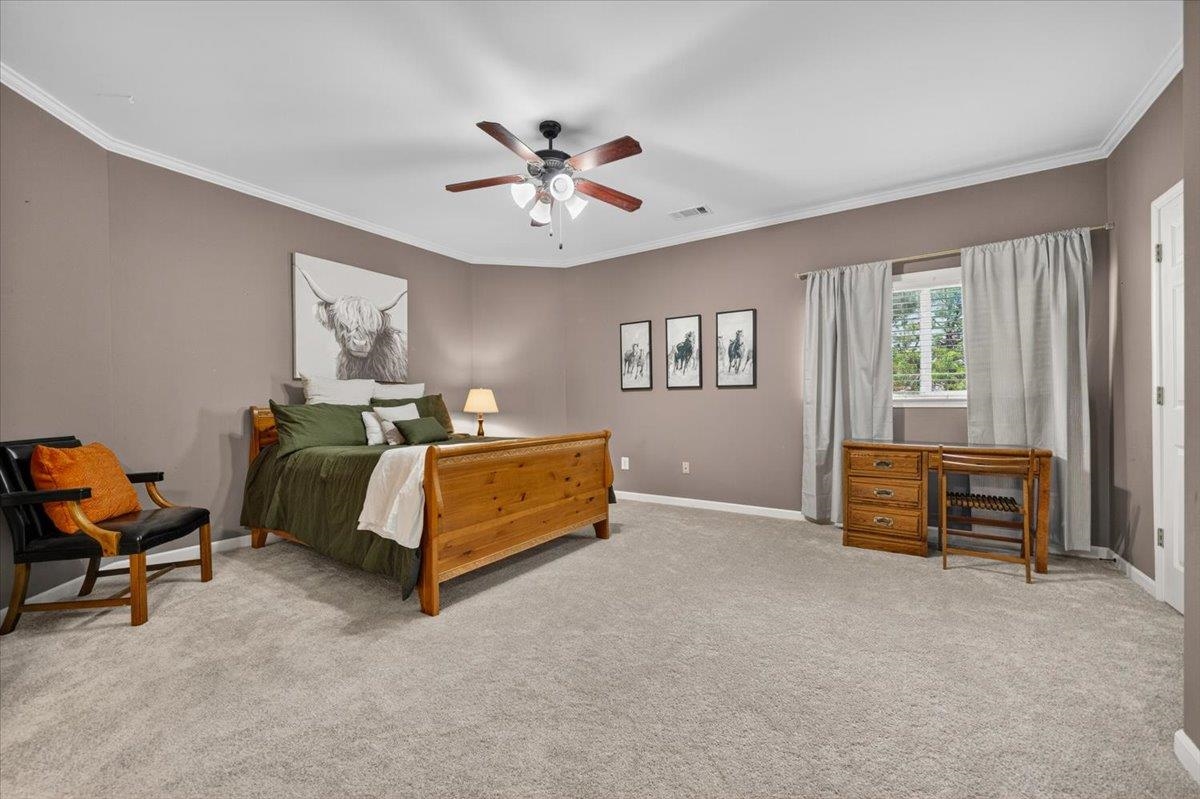 1729 Patton Place Cv Property Photo 23